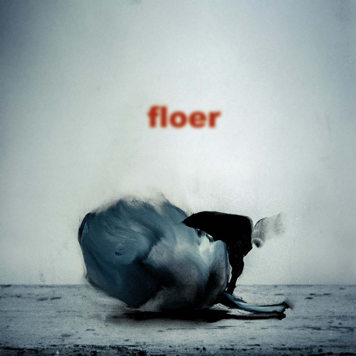 Wings – Floer